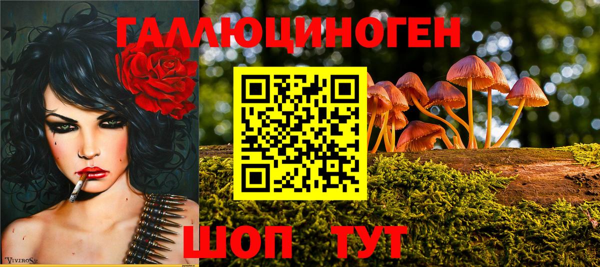 Псилоцибиновые грибы GOLDEN TEACHER Озёрск