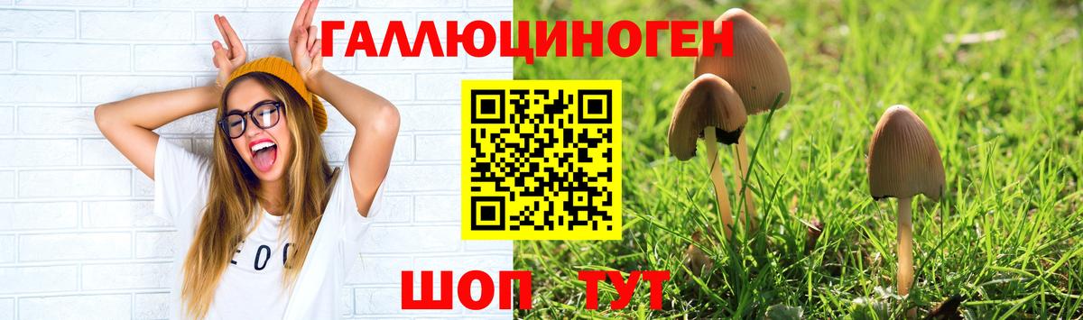 Озёрск  Галлюциногенные грибы мицелий  Вход с VPN 